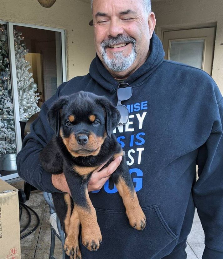 https://vonbauerottweilers.com/puppy-inquiry